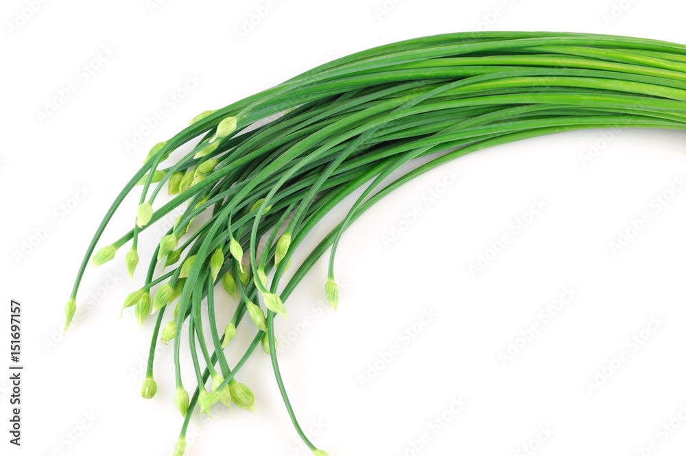fresh chive flower in a bunch isolated on white background fresh chive flower in a bunch isolated on white background
