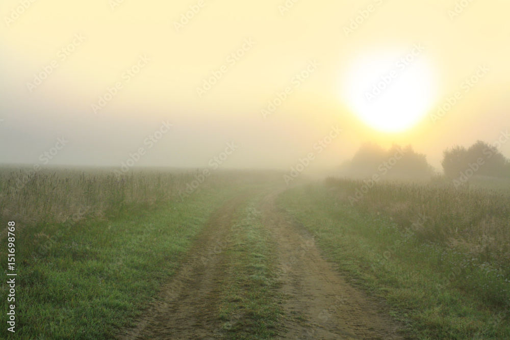 Fototapeta premium autumn landscape with road and sunrise