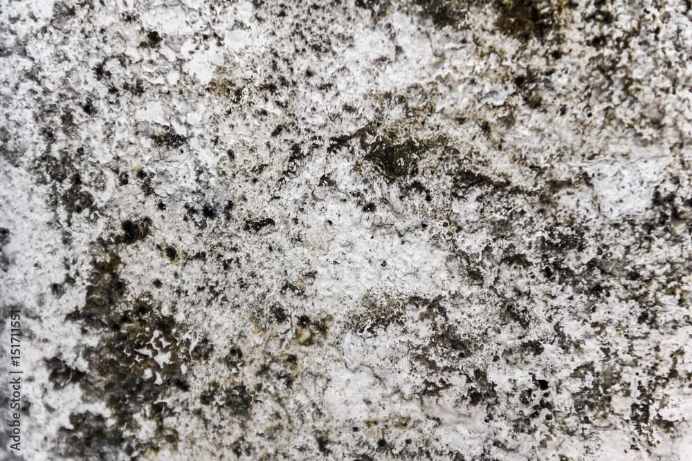 Old plaster on the wall. Grunge concrete texture. Retro texture. Distress Texture. Old plaster on the wall. Grunge concrete texture. Retro texture. Distress Texture.