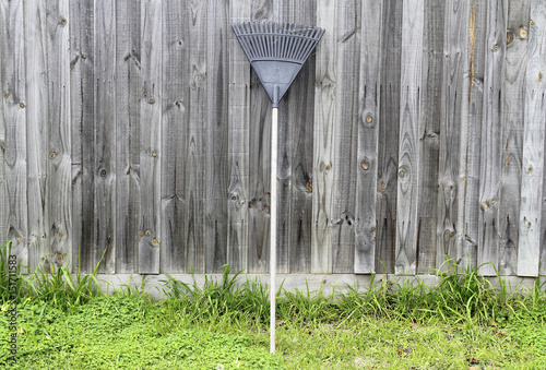 rake raking grass clippings, garden tools, rake hanging on a wooden floor. © parinya