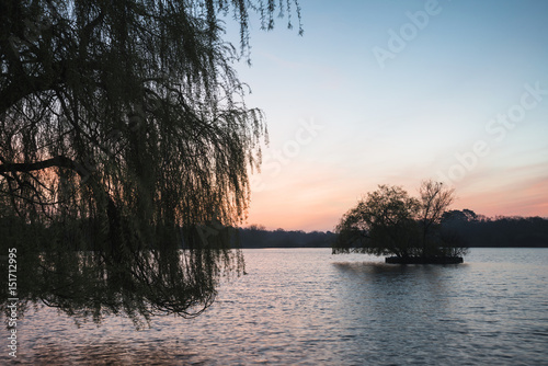 Beautiful vibrant Spring sunrise over calm lake in English countryside © veneratio