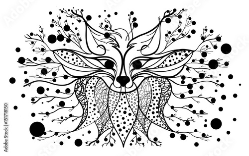 Black and white fox