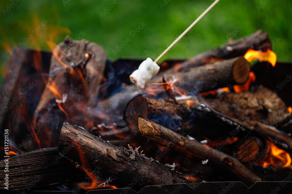 Grilling marshmallows on fire Grilling marshmallows on fire
