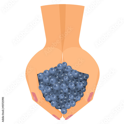 Blueberries on hand top view in flat design, isolated on white background. Vector illustration eps10