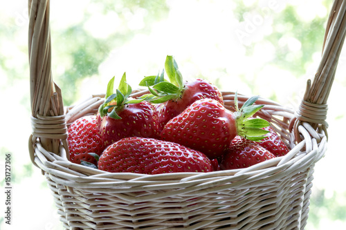 Strawberry in a basket on a motley background photo