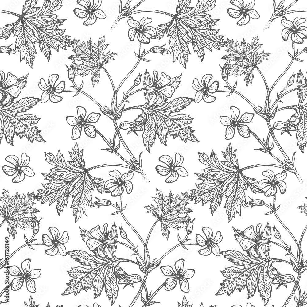 Fototapeta premium Geranium flowers. Seamless floral pattern.