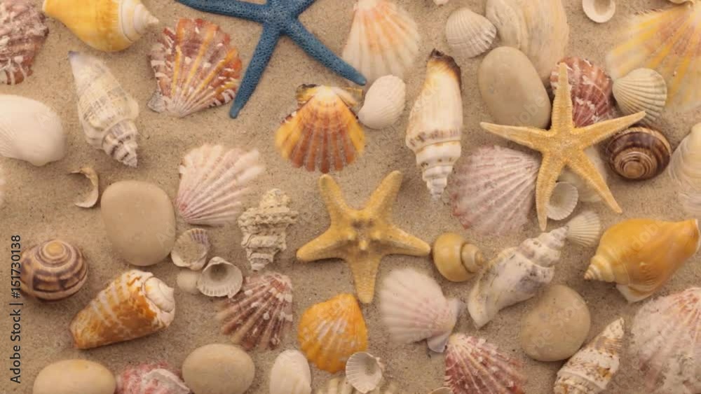 Rotation of seashells, starfish and white stones on sand. Rotation of seashells, starfish and white stones on sand.