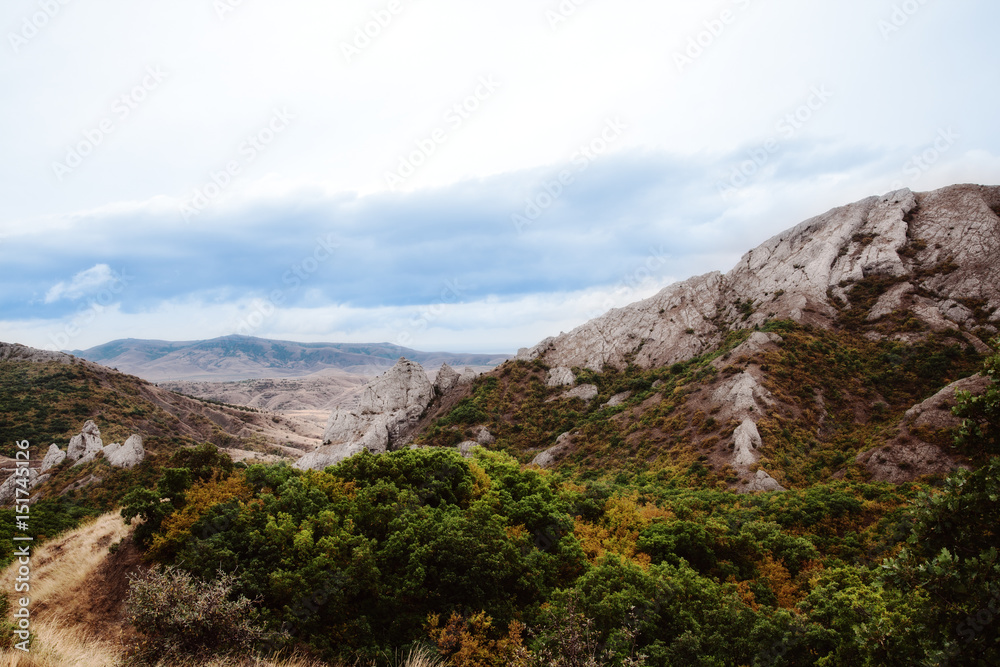 landscape landscape