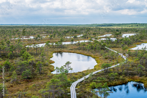 Fototapeta Naklejka Na Ścianę i Meble -  Cenas tīrelis swamp trail