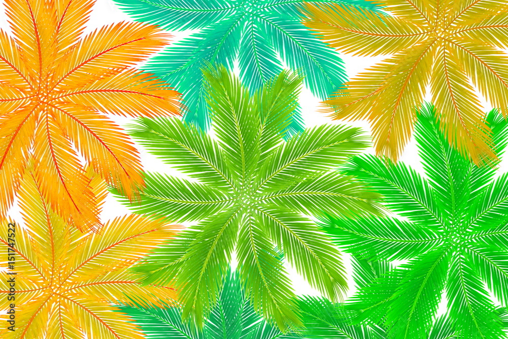 colorful palm coconut tree leaves texture background