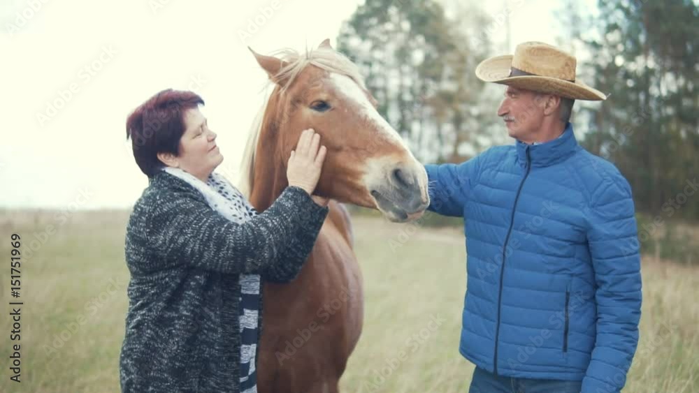 A middle-aged man and a woman stroking a horse A middle-aged man and a woman stroking a horse