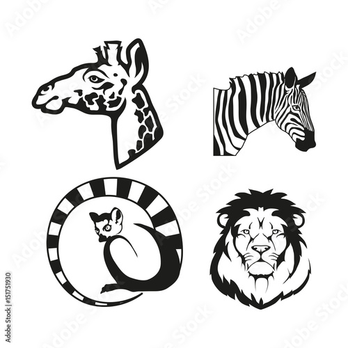 Set of four black  logo silhouettes of lemur and vector image of giraffe with zebra and lion, illustration isolated on white background, Wild African animals