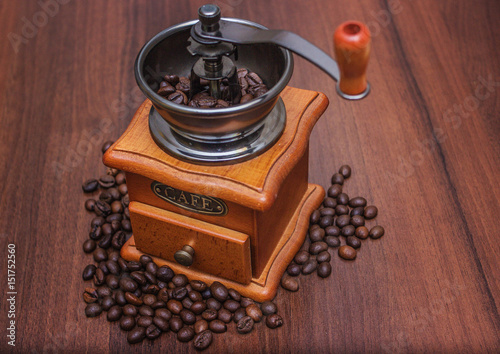 Coffee beans in a coffee grinder on a tree