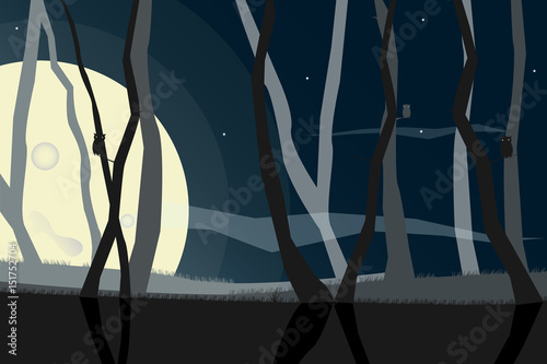 Moon night wild forest with owls