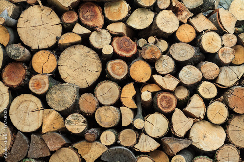 Stacked Logs Texture, Natural Background. Cross section of the timber, firewood stack for the background photo