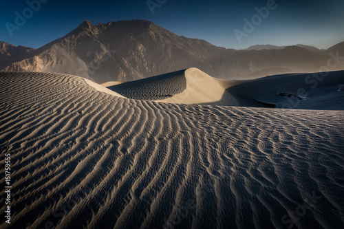 Sand dunes at Hunder village in Nubra valley in the Indian Himalaya. Diskit, Ladakh, India