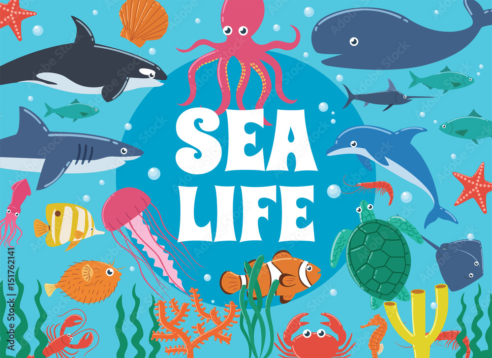 Obraz premium Życie morskie. Podwodny świat z morskimi stworzeniami