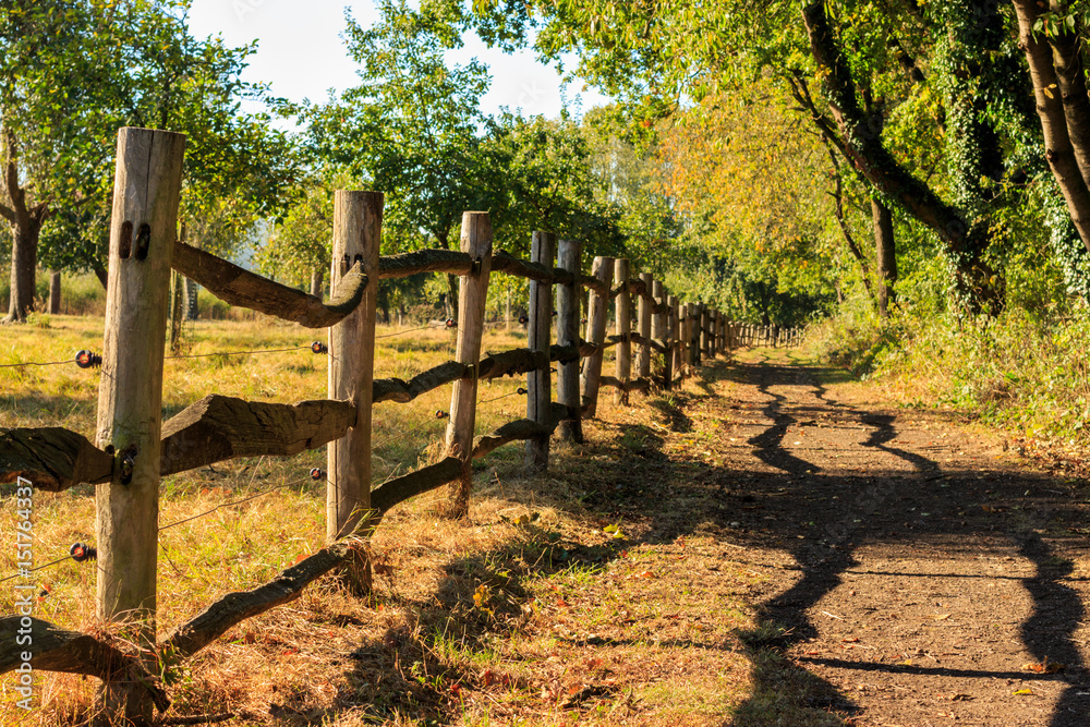 Wooden country fence along a meadow sheds shadow on a path under trees. Het Vinne, Zoutleeuw, Flanders, Belgium, Europe