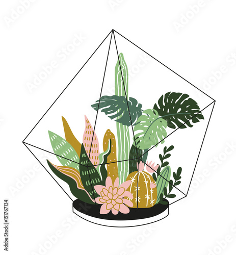 Hand drawn  contained tropical house plants. Scandinavian style illustration, modern and elegant home decor. Vector print design with terrarium with tropical plants.