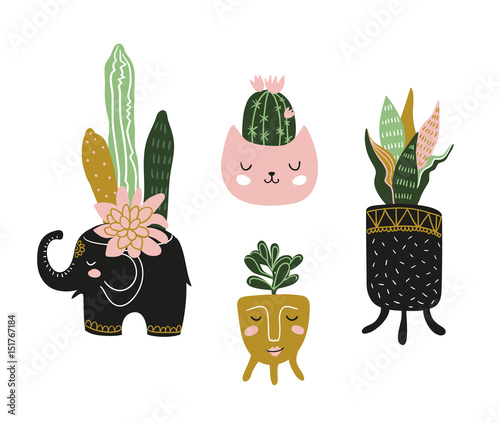 Hand drawn  house plants. Scandinavian style illustration, modern and elegant home decor. Vector design elements.