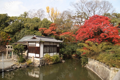 Fototapeta Naklejka Na Ścianę i Meble -  Red autumn leaves, pond and traditional building at Kyoto Gosho ( Kyoto Imperial Palace ) in Kyoto, Japan