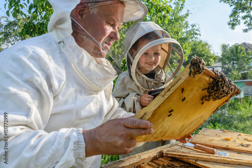 Experienced beekeeper grandfather teaches his grandson caring for bees. Apiculture. The concept of transfer of experience.