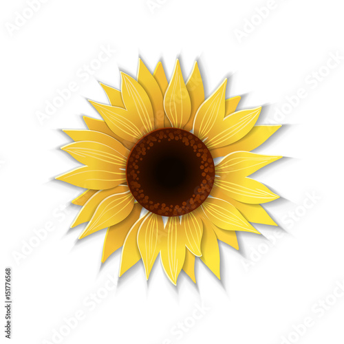 Paper art sunflower.