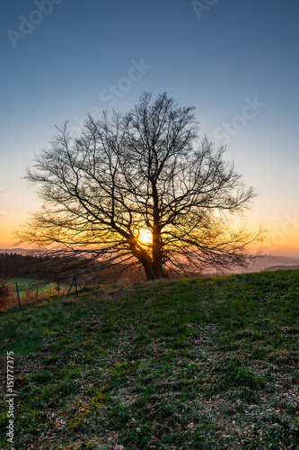 The landscape of a field at sunset