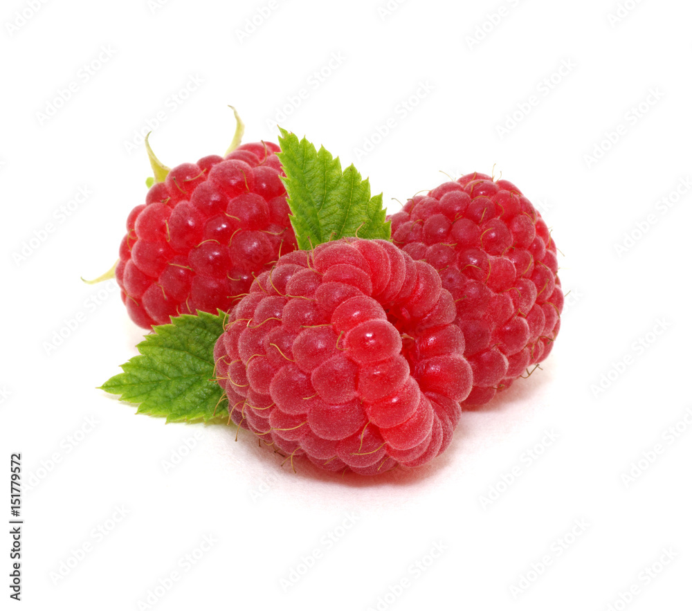 Raspberry with leaves Raspberry with leaves