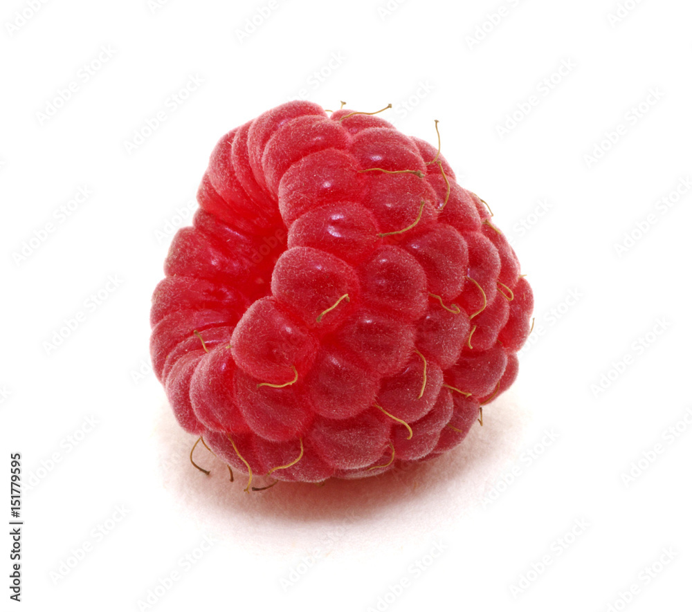 raspberry isolated on white raspberry isolated on white