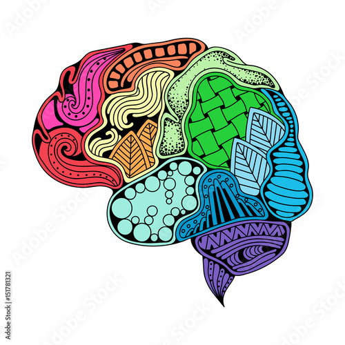 Human brain doodle decorative curves, creative mind, learning and design. Idea concept background