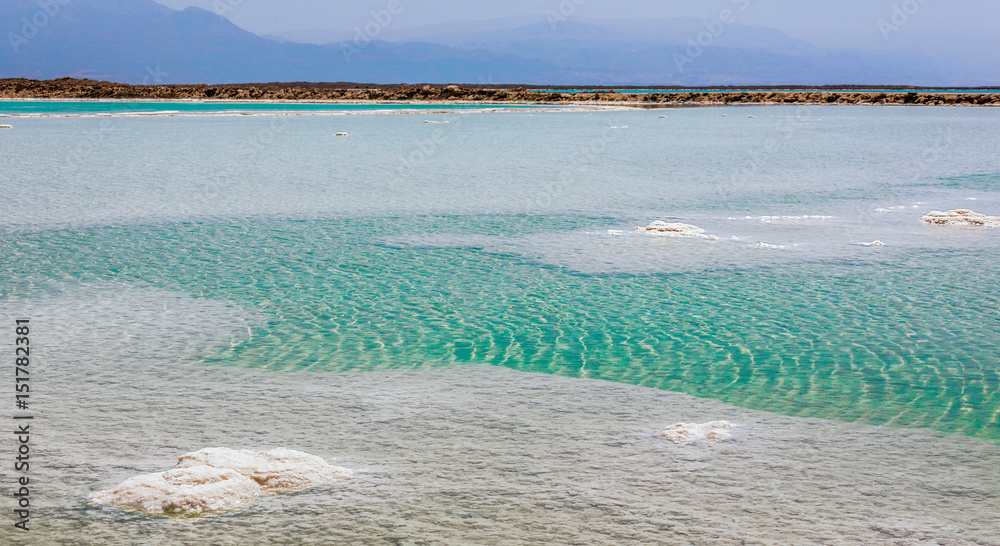 Salt Islands growing in the Dead sea Israel Stock Photo Adobe Stock