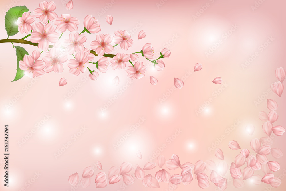 Nature background with blossom of pink sakura flowers, leaves and buds.  Shining vector template with beautiful pink flowers branch and soaring  petals Stock Vector | Adobe Stock