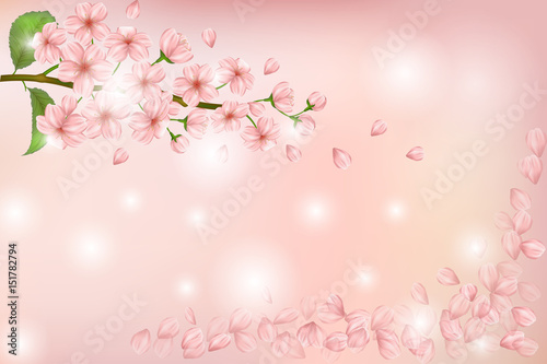 Nature background with blossom of pink sakura flowers, leaves and buds. Shining vector template with beautiful pink flowers branch and soaring petals