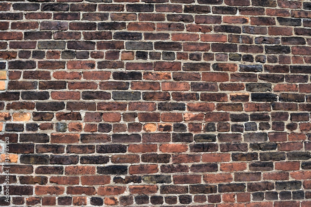 Obraz premium Old grunge brick wall background