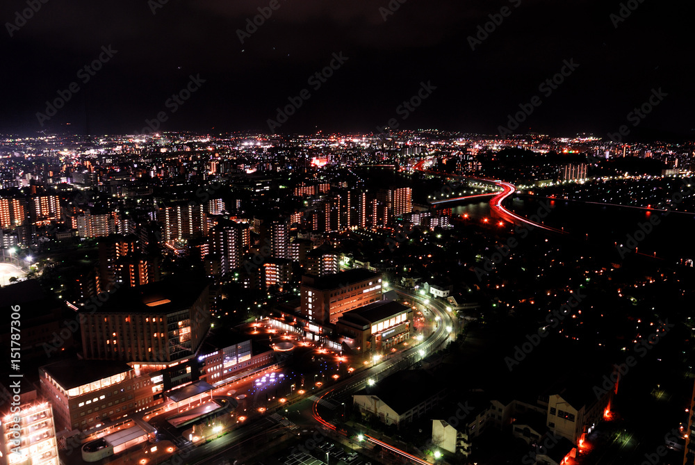 Fototapeta premium 福岡タワーからの夜景