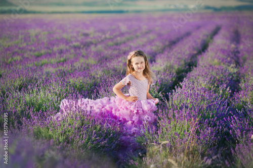 A girl in a beautiful lush purple dress in lavender field. Sweet girl in the lush lilac dress. Sweet girl in a lavender field