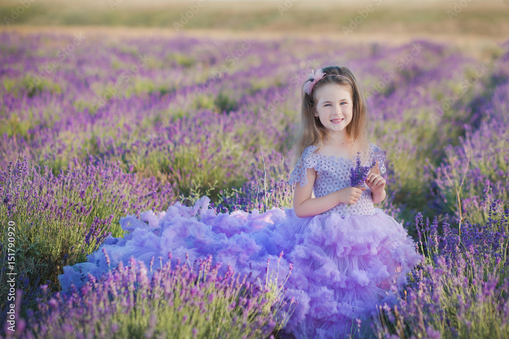 A girl in a beautiful lush purple dress in lavender field. Sweet girl in the lush lilac dress. Sweet girl in a lavender field A girl in a beautiful lush purple dress in lavender field. Sweet girl in the lush lilac dress. Sweet girl in a lavender field