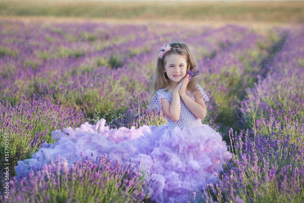 A girl in a beautiful lush purple dress in lavender field. Sweet girl in the lush lilac dress. Sweet girl in a lavender field A girl in a beautiful lush purple dress in lavender field. Sweet girl in the lush lilac dress. Sweet girl in a lavender field