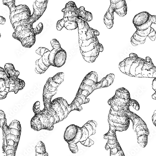 Seamless pattern with ginger roots on white background, black and white hand-drawn sketch.