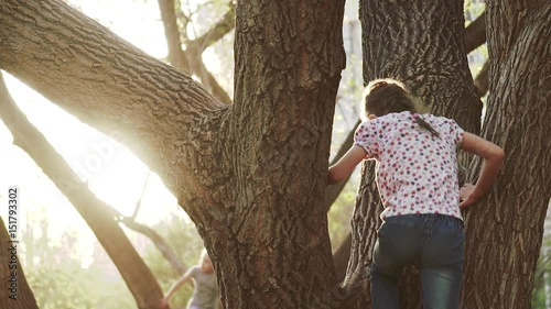 child is climbing the tree. Little girl is playing in the outdoor. slow motion