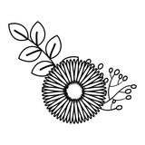 beautiful sunflower decoration icon vector illustration design