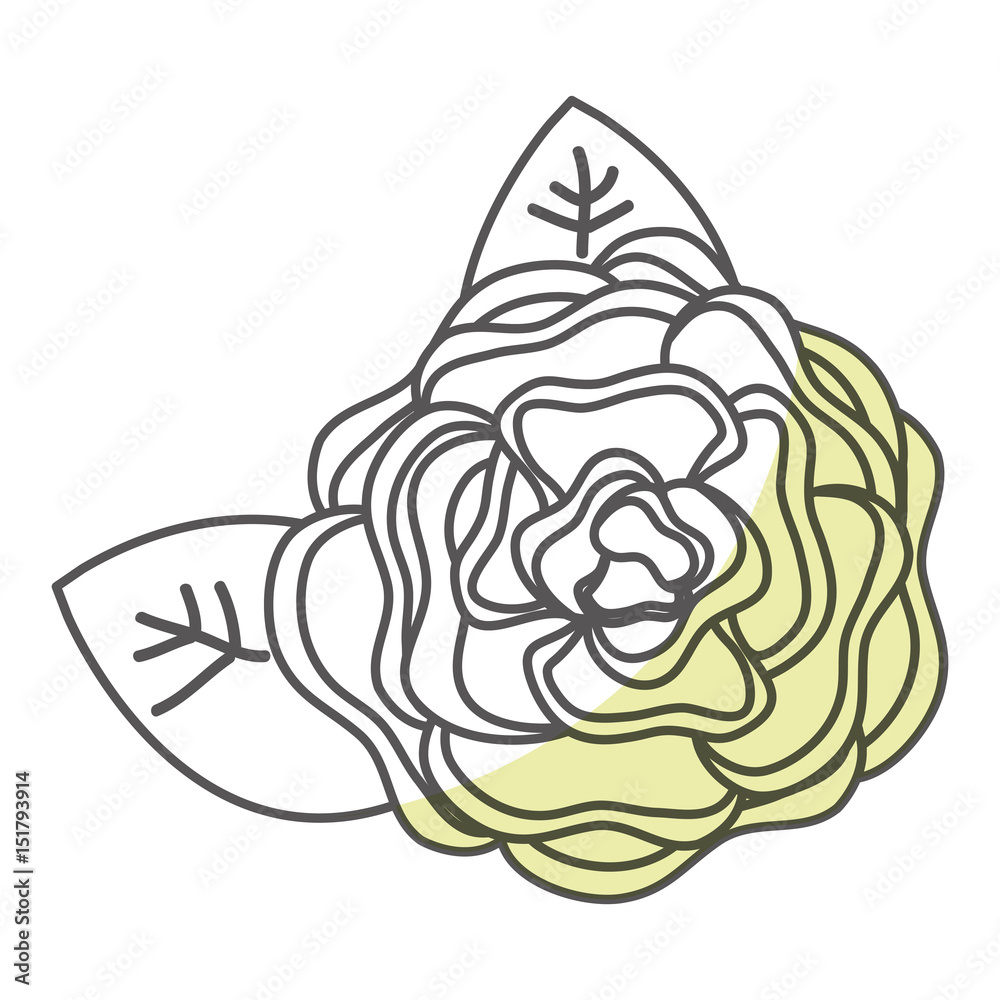 beautiful rose decoration icon vector illustration design beautiful rose decoration icon vector illustration design