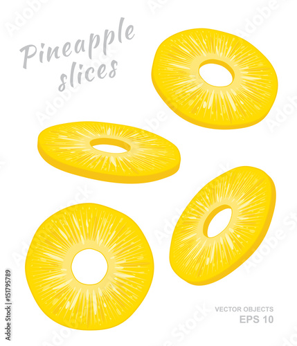 Vector illustration of falling pineapple slices isolated on white background. A cut rings of fresh exotic fruit. Set of four Different angles of view
