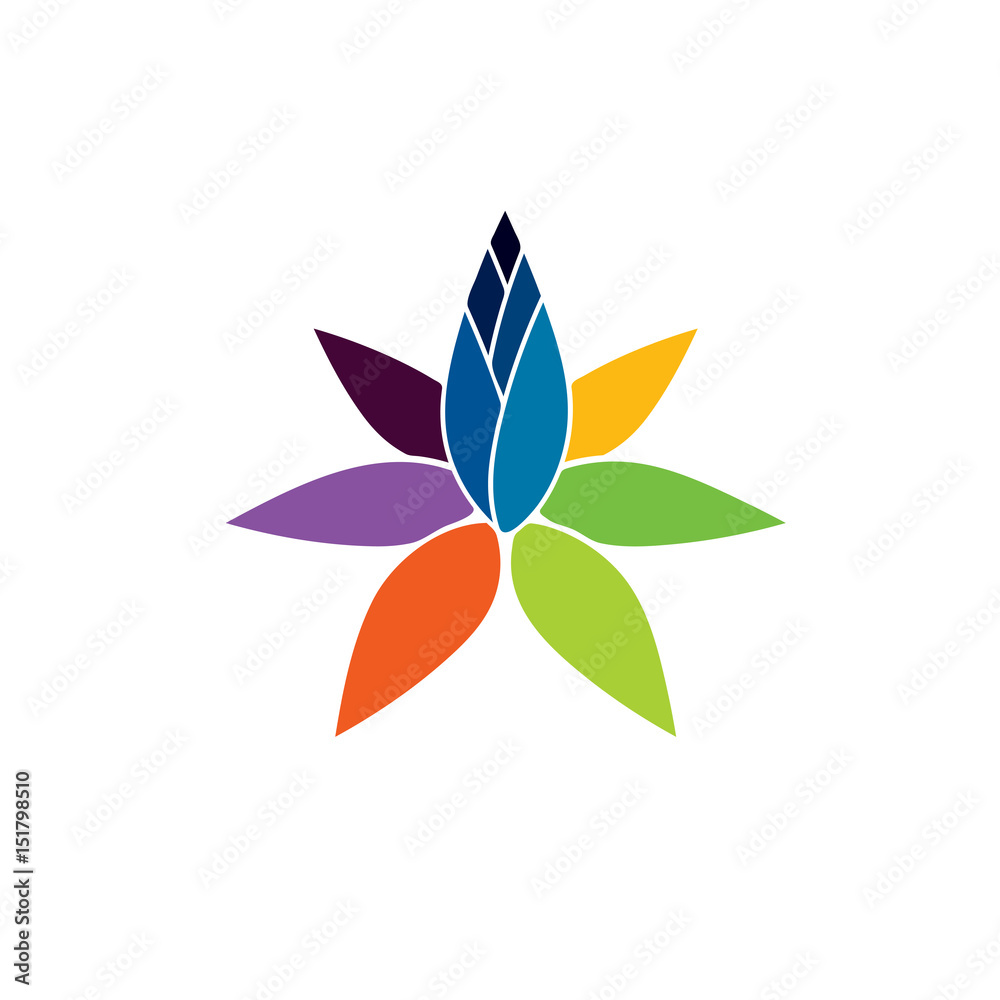 rise colorful lotus rise colorful lotus