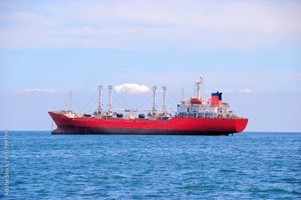Cargo ship in the Trade Port , Container , Shipping , Logistics , Transportation Systems