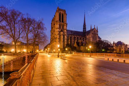 Notre Dame de Paris cathedral at dawn with the Pont au Double. Ile de La Cite. 4th Arrondissement, Paris, France