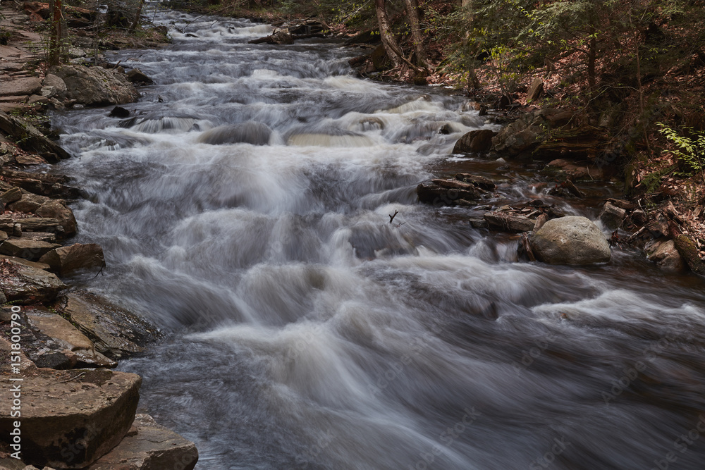 Naklejka premium Ricketts Glen State Park, Benton, Pennsylvania, USA