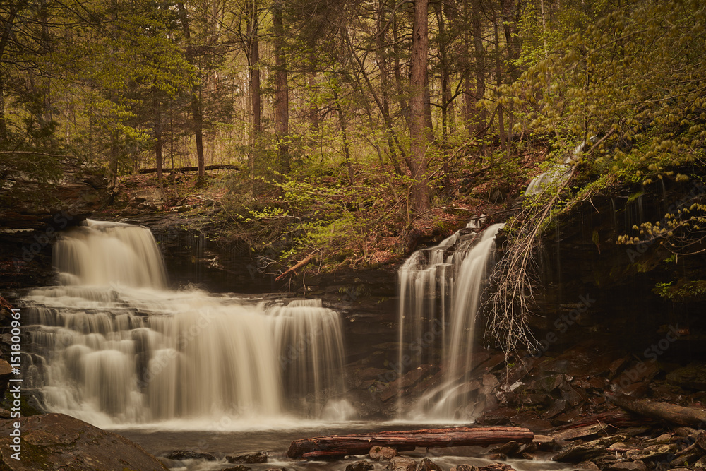 Fototapeta premium Ricketts Glen State Park, Benton, Pennsylvania, USA