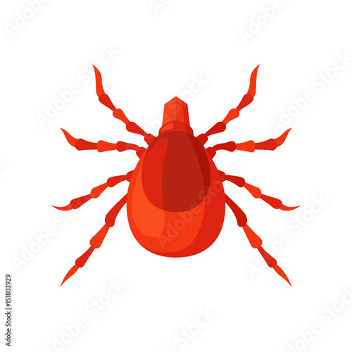 Mite insect vector illustration on a white background